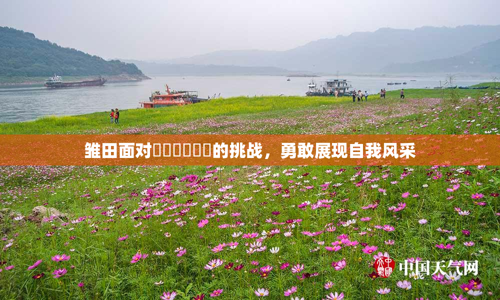 雏田面对❌‌❌‌❌‌的挑战，勇敢展现自我风采