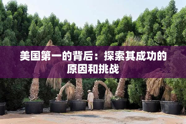美国第一的背后：探索其成功的原因和挑战