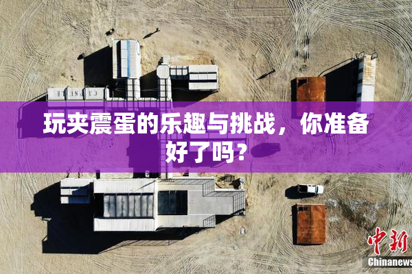 玩夹震蛋的乐趣与挑战，你准备好了吗？