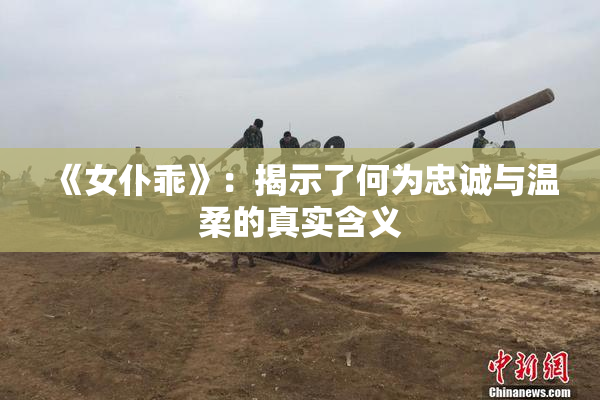 《女仆乖》：揭示了何为忠诚与温柔的真实含义