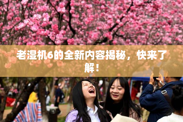老湿机6的全新内容揭秘，快来了解！