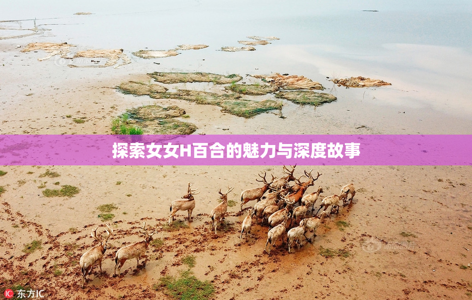 探索女女H百合的魅力与深度故事