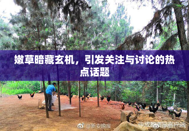 嫩草暗藏玄机，引发关注与讨论的热点话题