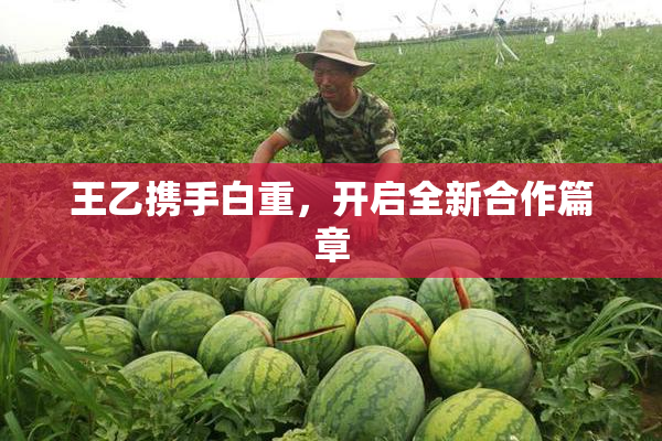 王乙携手白重，开启全新合作篇章