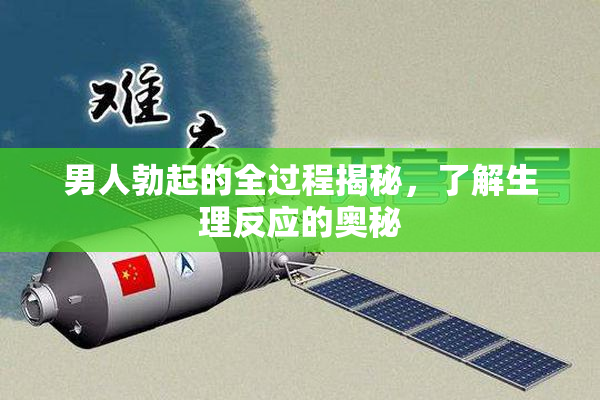 男人勃起的全过程揭秘，了解生理反应的奥秘