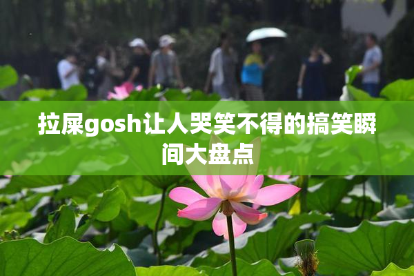 拉屎gosh让人哭笑不得的搞笑瞬间大盘点