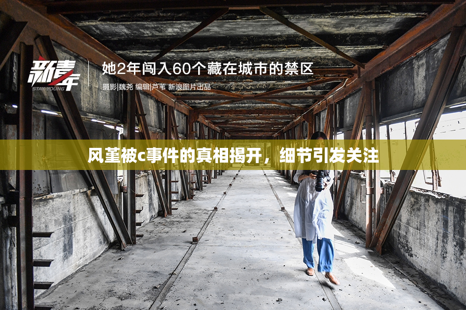 风堇被c事件的真相揭开，细节引发关注