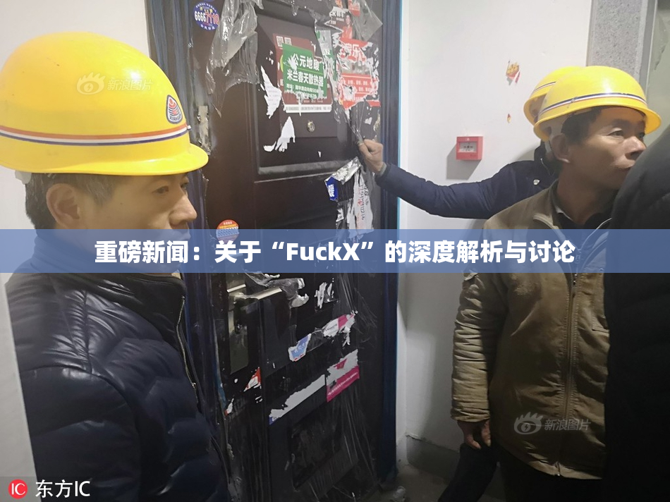 重磅新闻：关于“FuckX”的深度解析与讨论