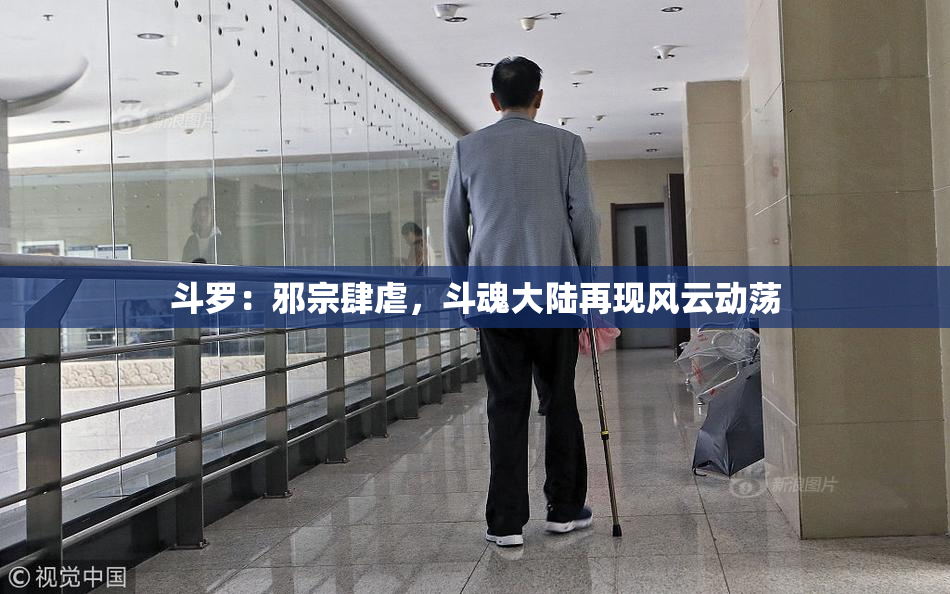 斗罗：邪宗肆虐，斗魂大陆再现风云动荡
