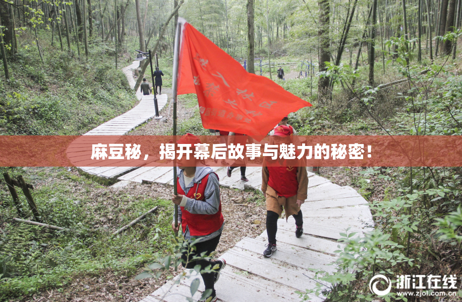 麻豆秘，揭开幕后故事与魅力的秘密！