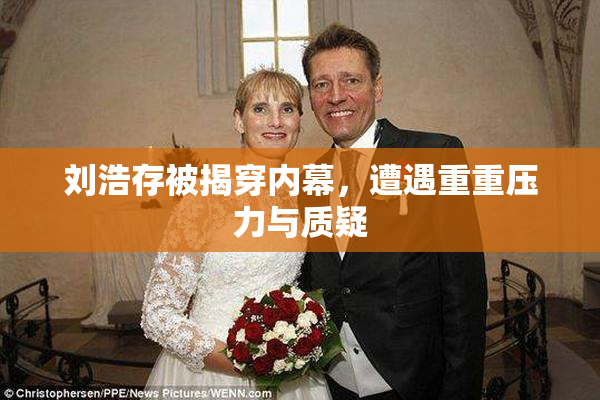 刘浩存被揭穿内幕，遭遇重重压力与质疑