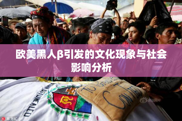 欧美黑人β引发的文化现象与社会影响分析