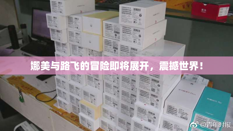 娜美与路飞的冒险即将展开，震撼世界！
