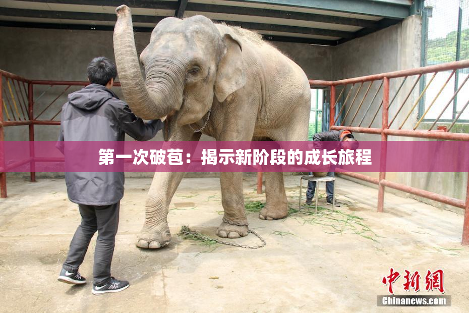 第一次破苞：揭示新阶段的成长旅程