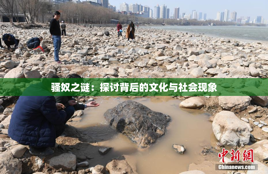 骚奴之谜：探讨背后的文化与社会现象