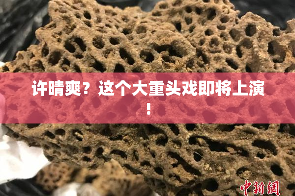 许晴爽？这个大重头戏即将上演!
