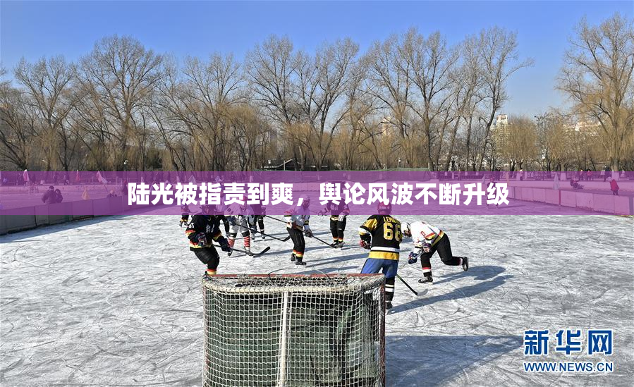陆光被指责到爽，舆论风波不断升级