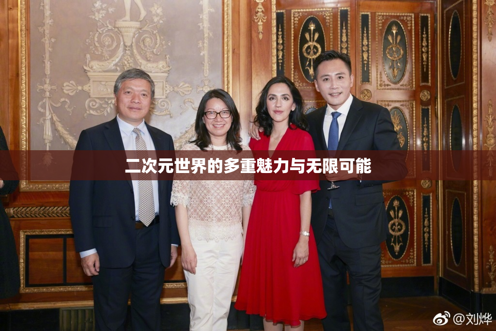 二次元世界的多重魅力与无限可能