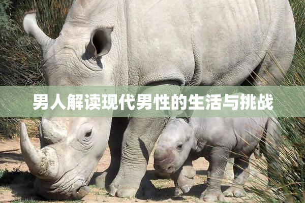男人解读现代男性的生活与挑战