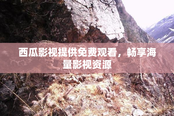 西瓜影视提供免费观看，畅享海量影视资源