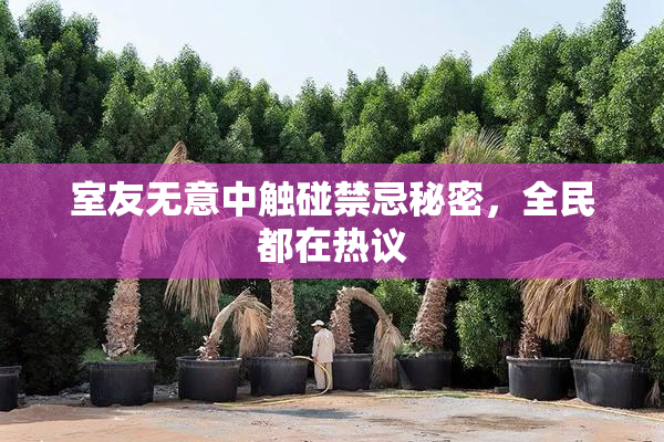 室友无意中触碰禁忌秘密，全民都在热议