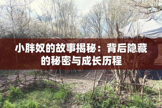 小胖奴的故事揭秘：背后隐藏的秘密与成长历程