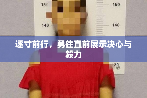 逐寸前行，勇往直前展示决心与毅力