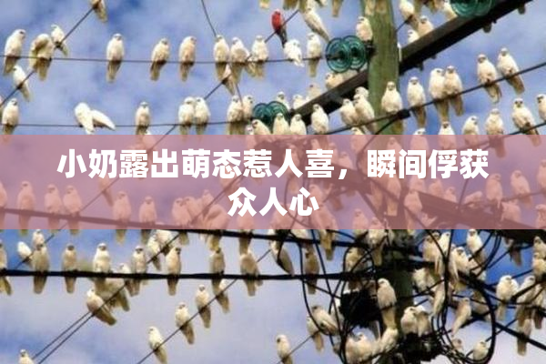 小奶露出萌态惹人喜，瞬间俘获众人心
