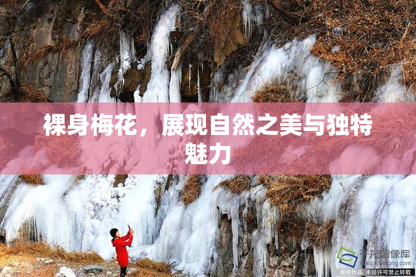 裸身梅花，展现自然之美与独特魅力