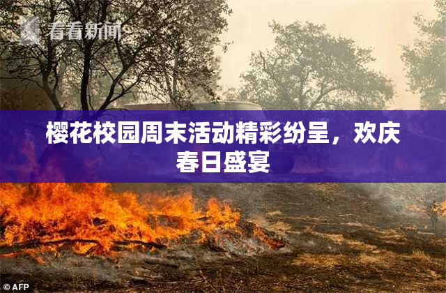 樱花校园周末活动精彩纷呈，欢庆春日盛宴