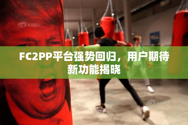 FC2PP平台强势回归，用户期待新功能揭晓