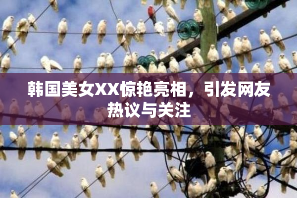 韩国美女XX惊艳亮相，引发网友热议与关注