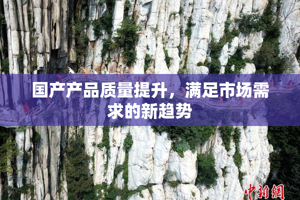 国产产品质量提升，满足市场需求的新趋势