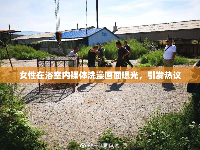 女性在浴室内裸体洗澡画面曝光，引发热议