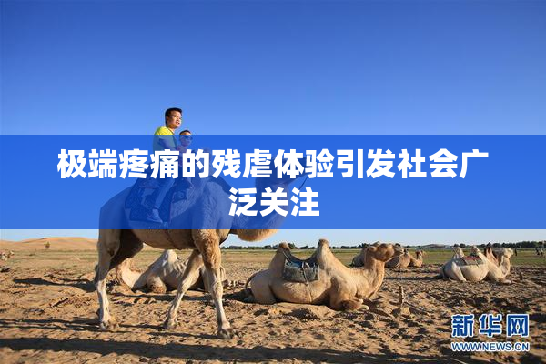 极端疼痛的残虐体验引发社会广泛关注