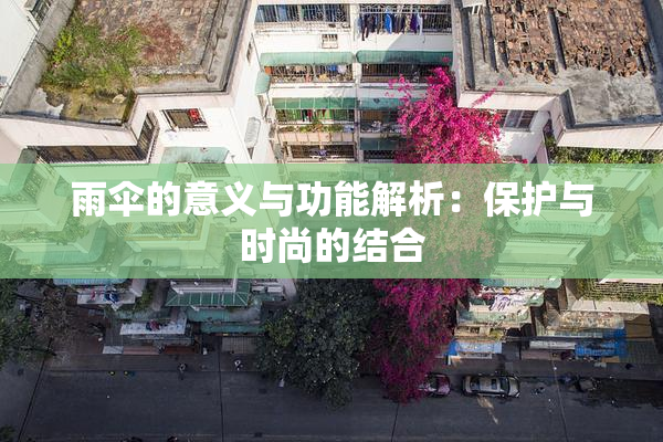 雨伞的意义与功能解析：保护与时尚的结合