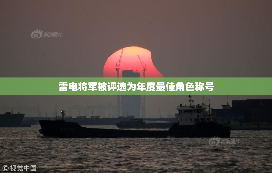 雷电将军被评选为年度最佳角色称号