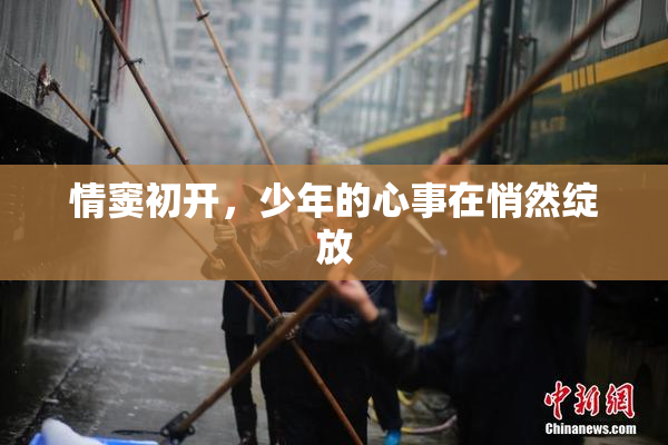 情窦初开，少年的心事在悄然绽放