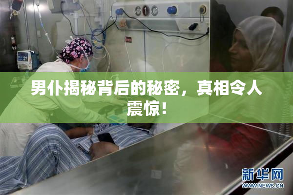 男仆揭秘背后的秘密，真相令人震惊！