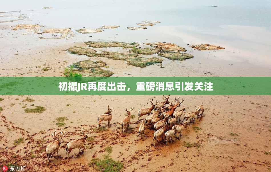 初撮JR再度出击，重磅消息引发关注