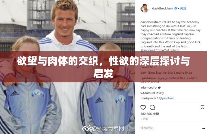 欲望与肉体的交织，性欲的深层探讨与启发