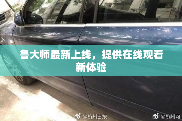 鲁大师最新上线，提供在线观看新体验
