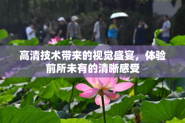 高清技术带来的视觉盛宴，体验前所未有的清晰感受
