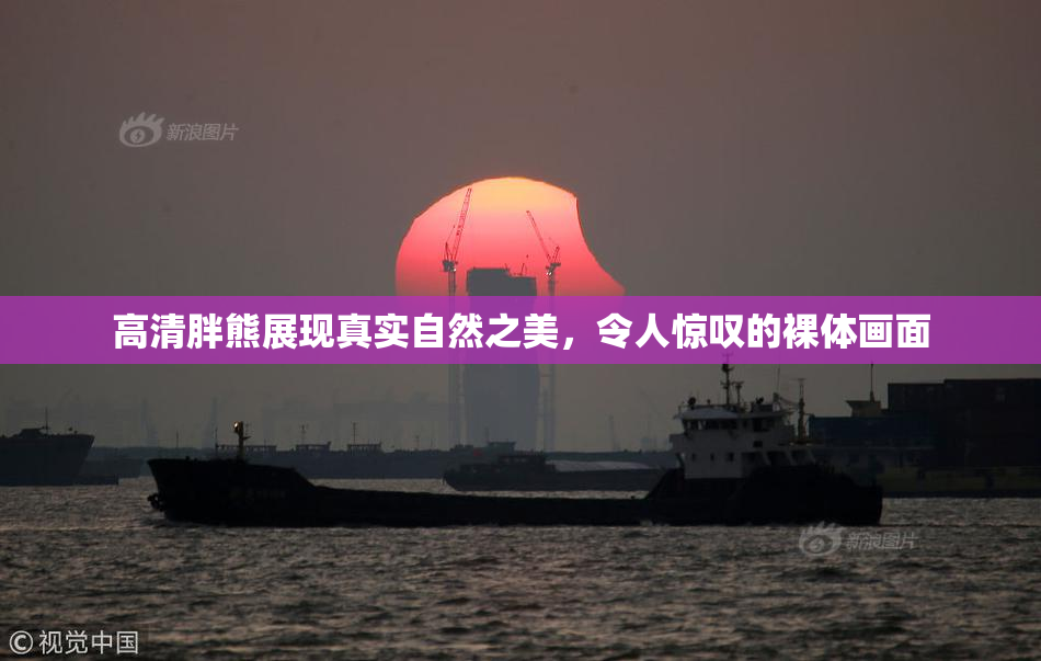 高清胖熊展现真实自然之美，令人惊叹的裸体画面