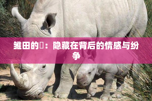 雏田的婬：隐藏在背后的情感与纷争