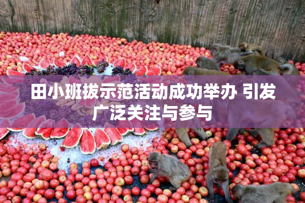 田小班拔示范活动成功举办 引发广泛关注与参与