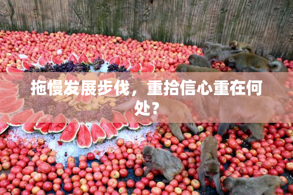 拖慢发展步伐，重拾信心重在何处？