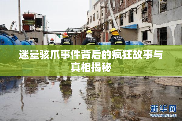 迷晕骇爪事件背后的疯狂故事与真相揭秘