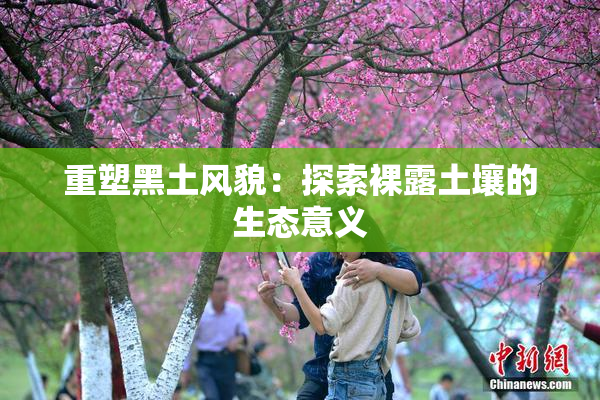 重塑黑土风貌：探索裸露土壤的生态意义