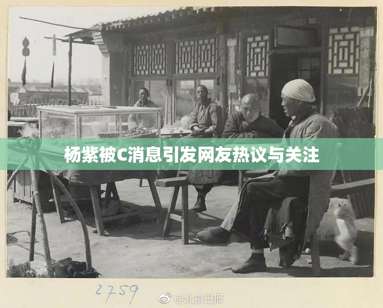 杨紫被C消息引发网友热议与关注